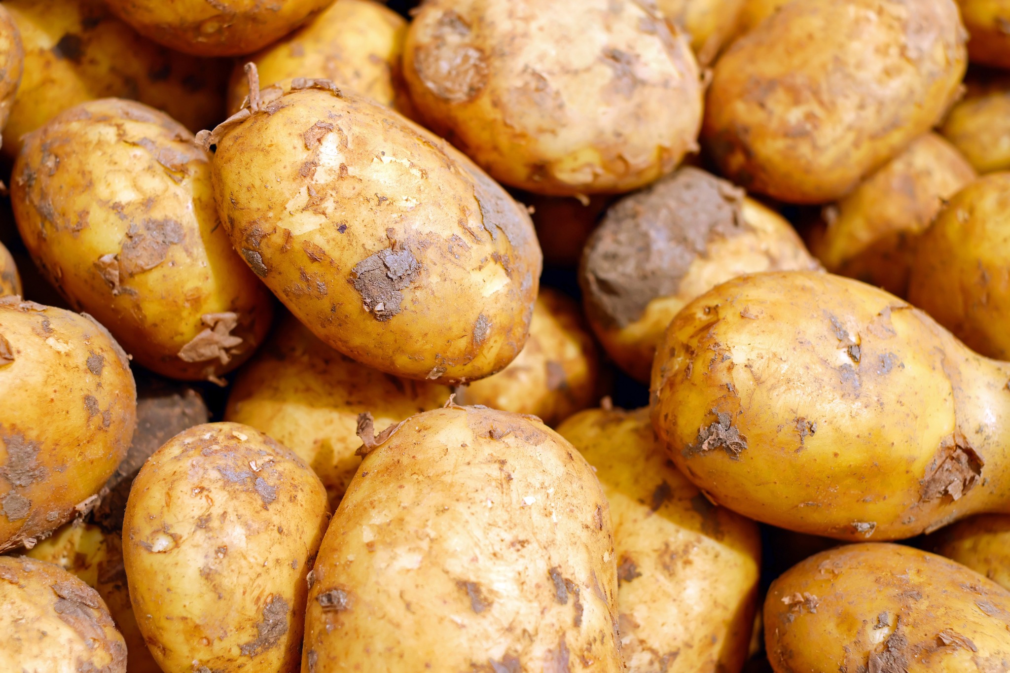 Kartoffeln
